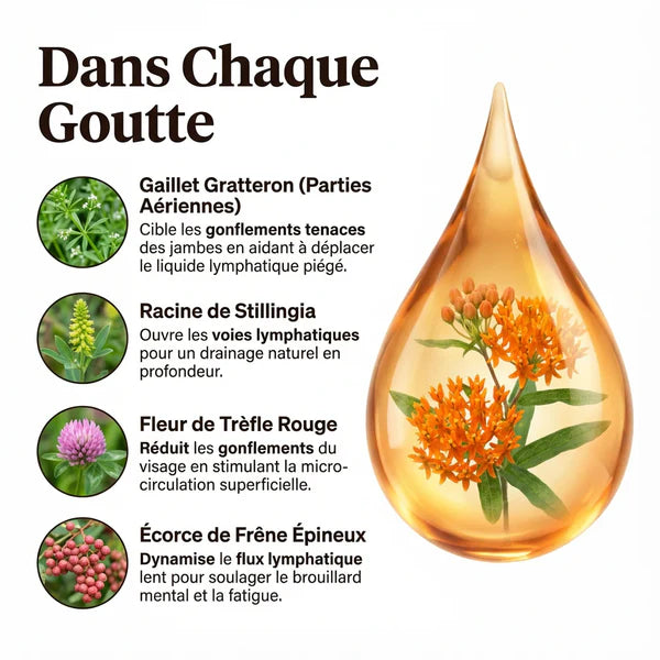 Photo produit 7